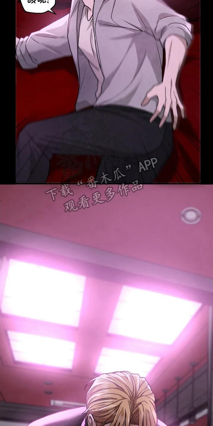 《赌城陷阱》第4章：拽走 第20页