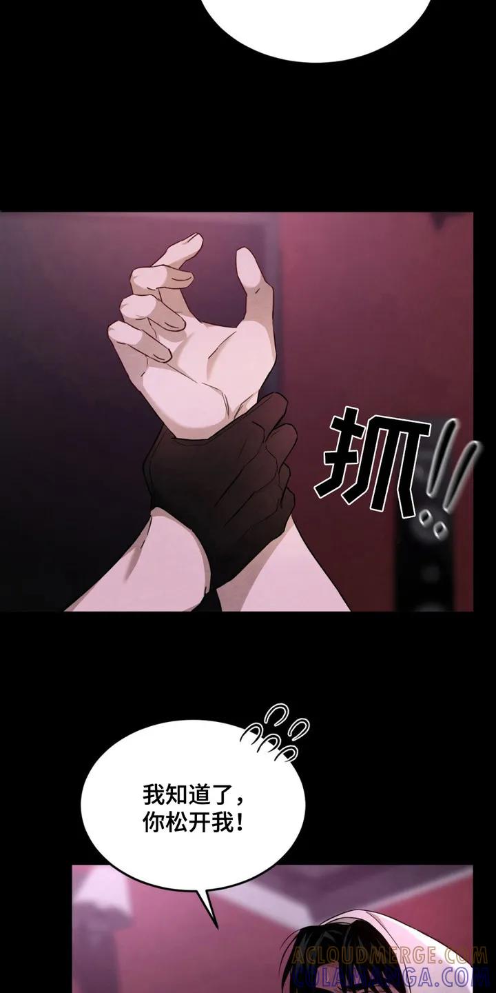 《赌城陷阱》第4章：拽走 第13页