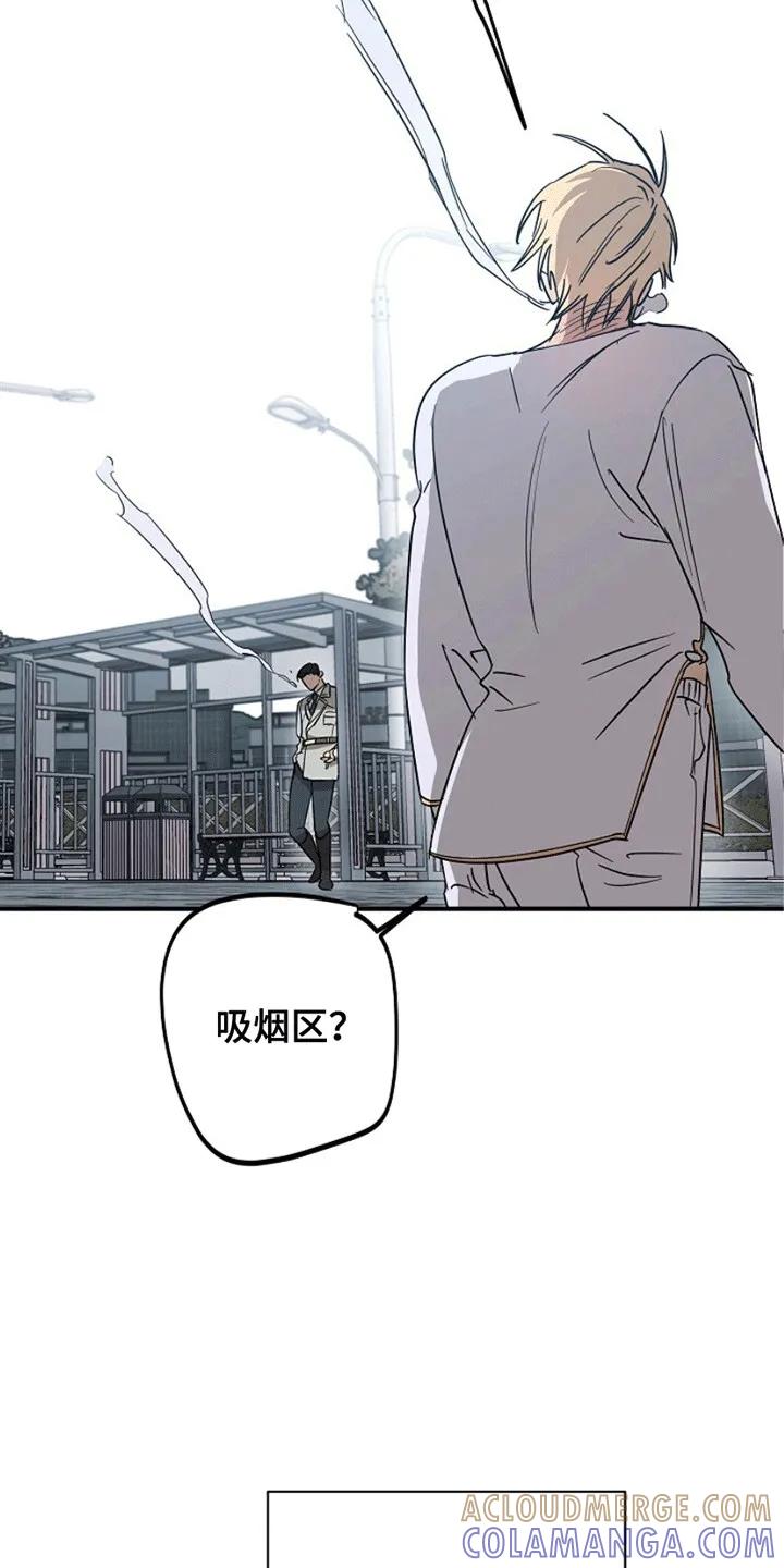 《重生在五年之后》第6章：他是谁 第19页