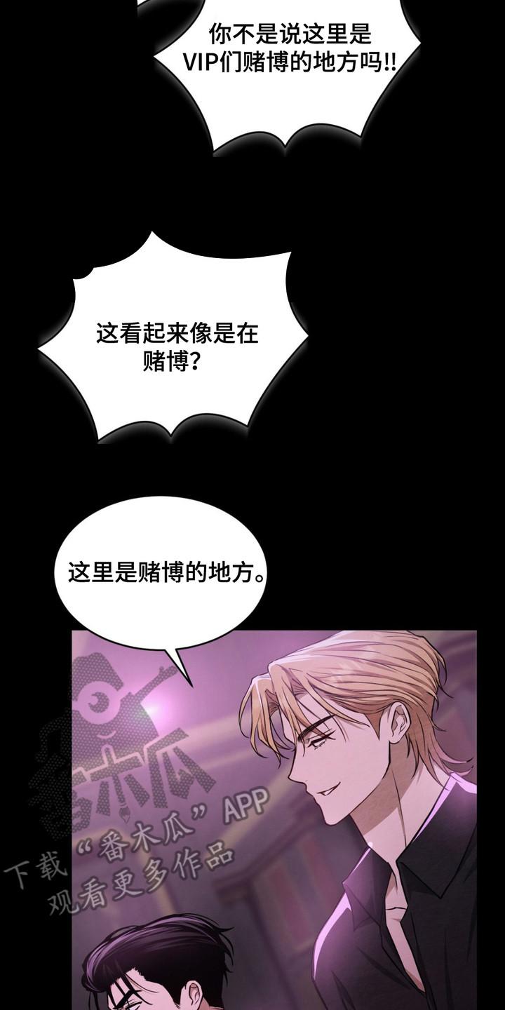 《赌城陷阱》第9章：VIP室 第14页