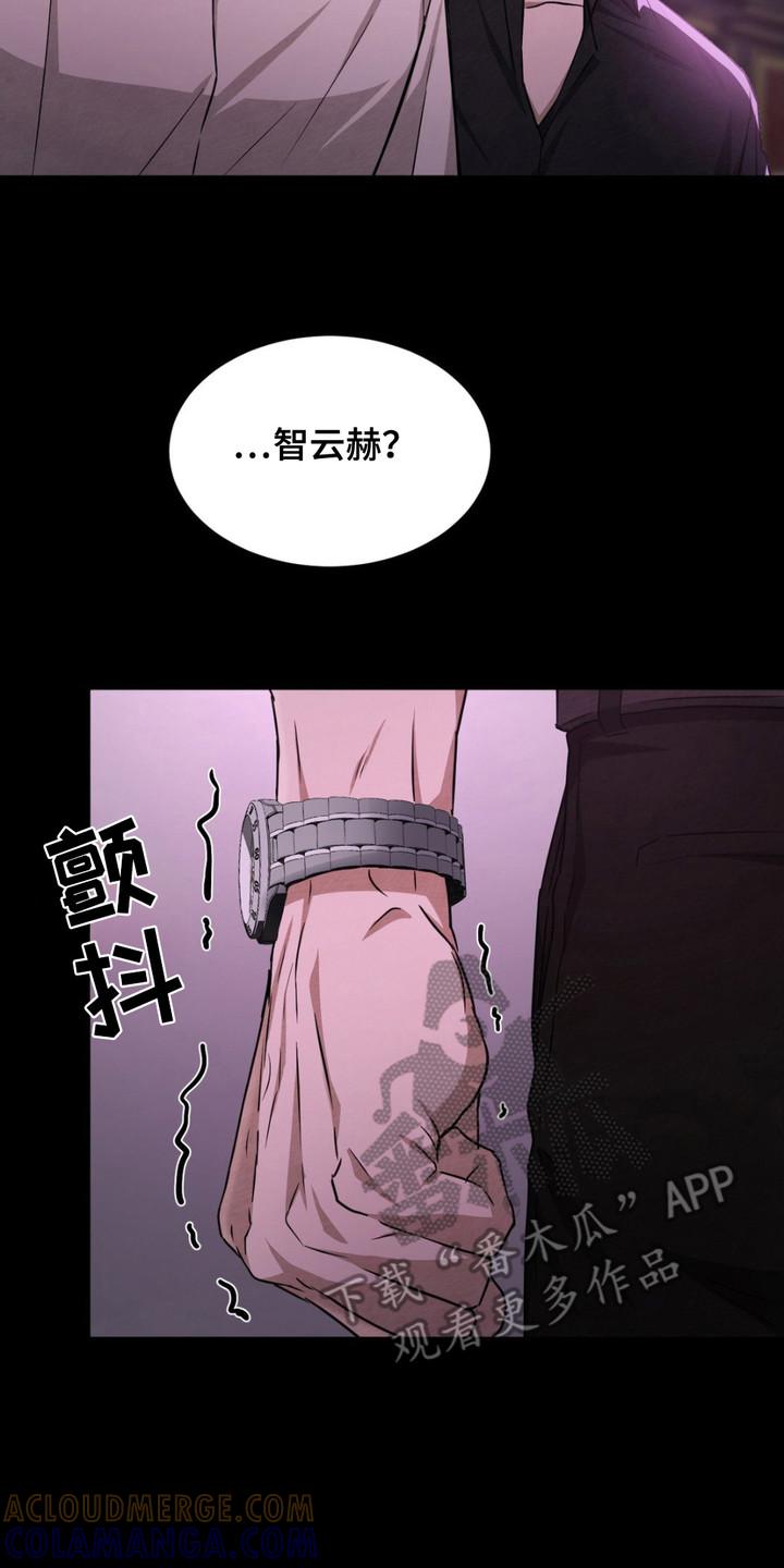 《赌城陷阱》第9章：VIP室 第17页