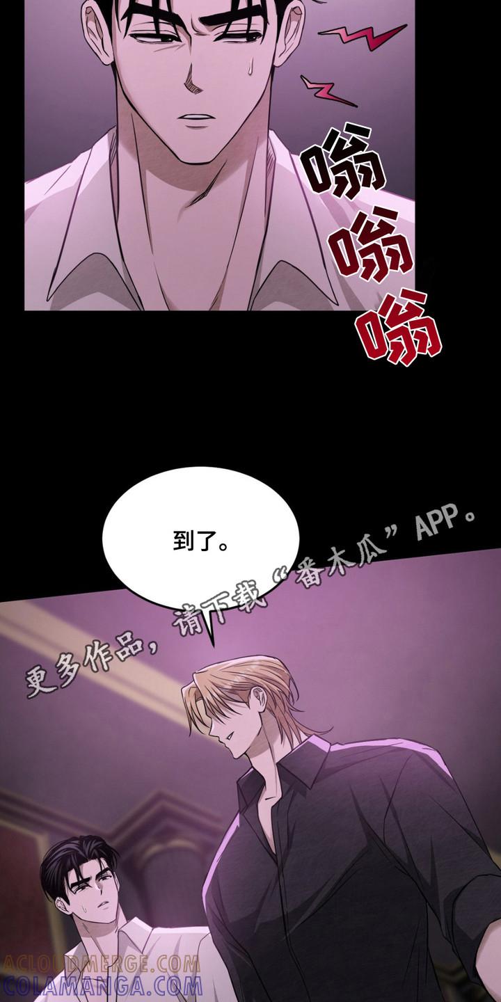 《赌城陷阱》第9章：VIP室 第5页