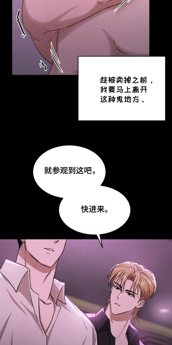 《赌城陷阱》第9章：VIP室 第16页