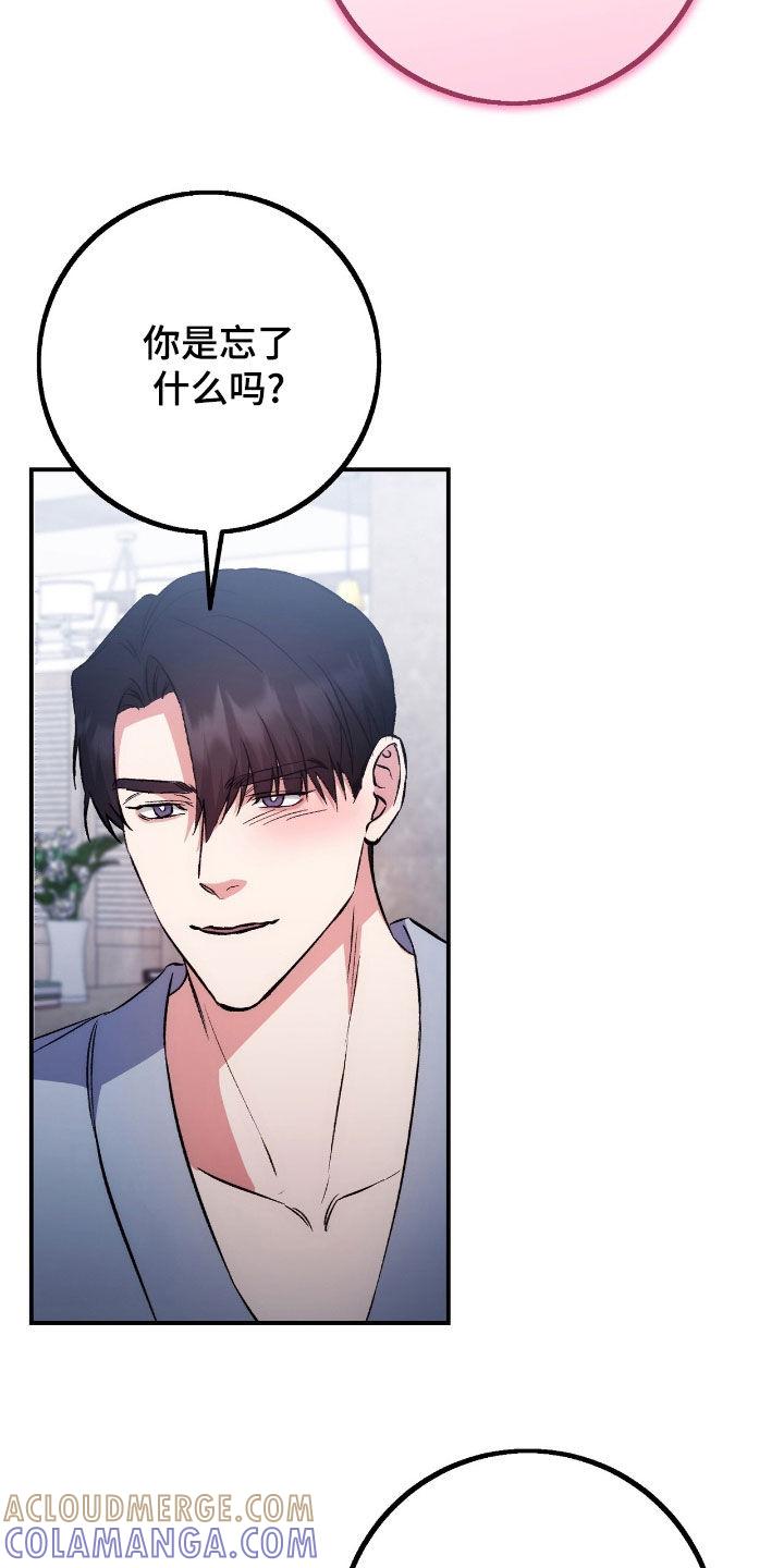 《债务条约》第100章：最重要的 第13页