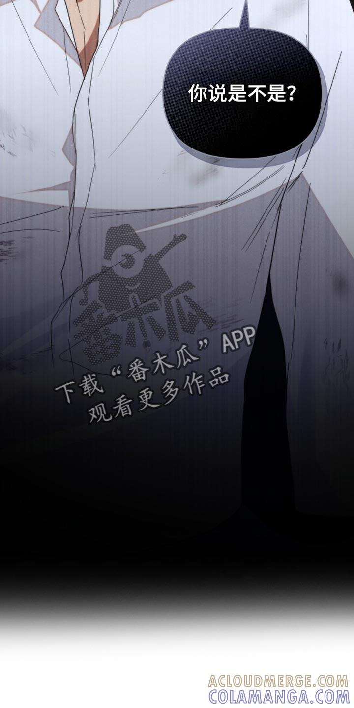《卧底大佬》第50章：【第二季】视线范围 第17页