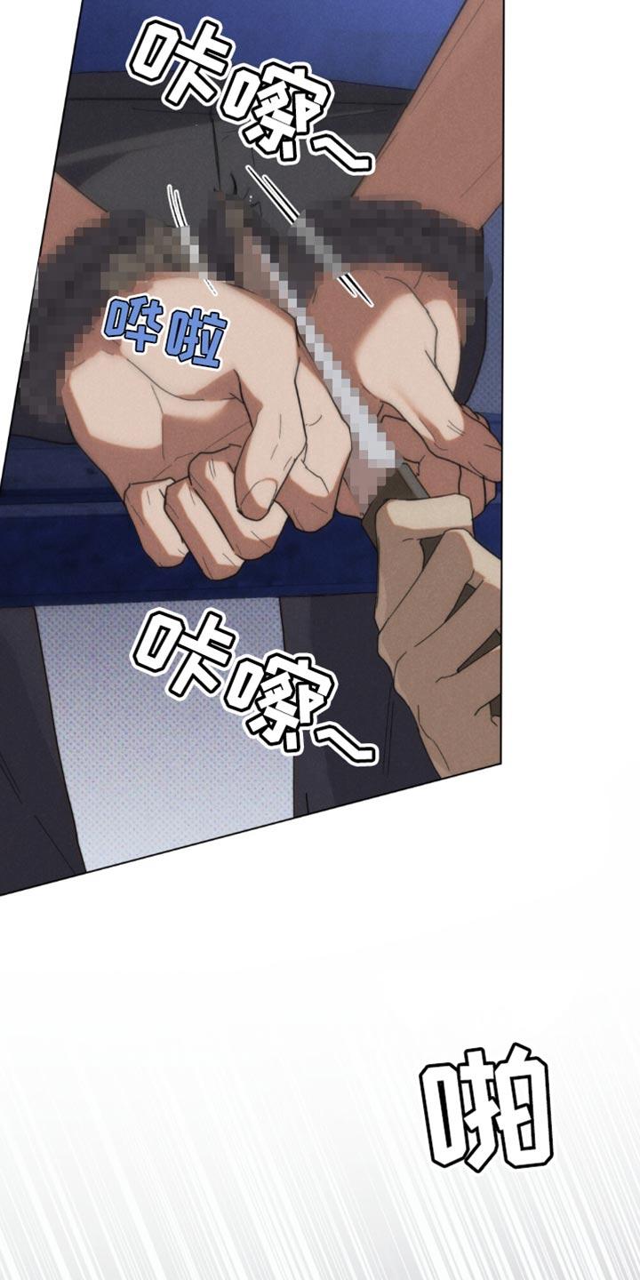 《卧底大佬》第50章：【第二季】视线范围 第4页
