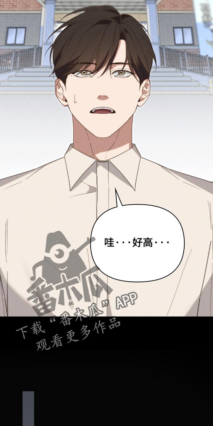 《卧底大佬》第56章：【第二季】唠叨 第2页
