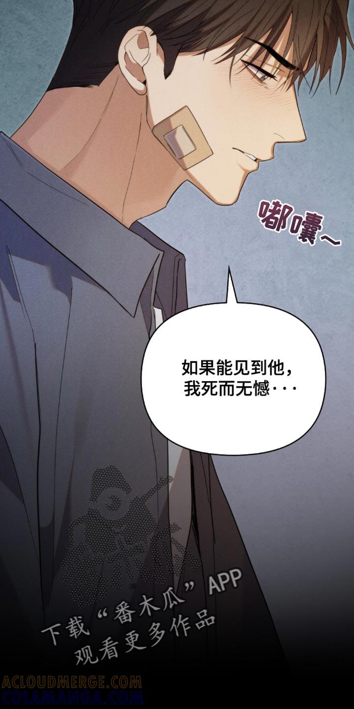 《卧底大佬》第57章：【第二季】愿望 第11页