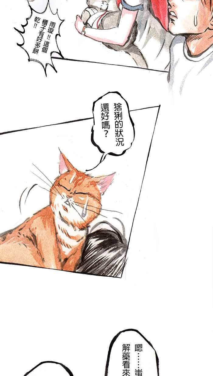 猫剑客 [第72话] 折翼天使 拾伍，重逢 第12页