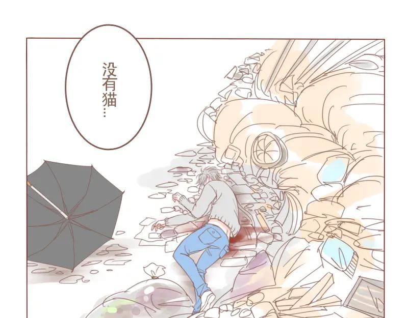 《邻系先生》第23话 对不起，没有猫 第12页