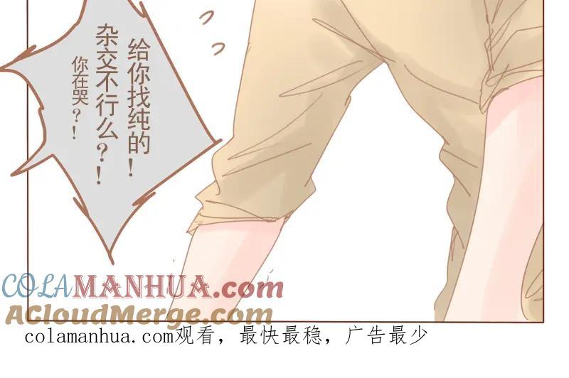 《邻系先生》第25话 夏师兄飞了 第29页