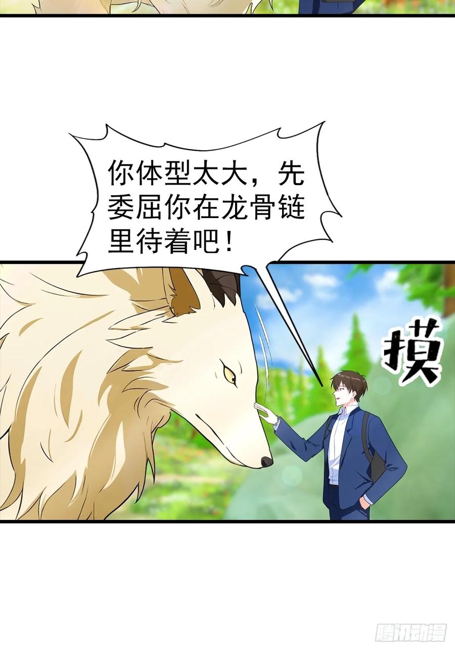 《都市圣手：我即医武巅峰》第112话 君子报仇，十年不晚 第12页