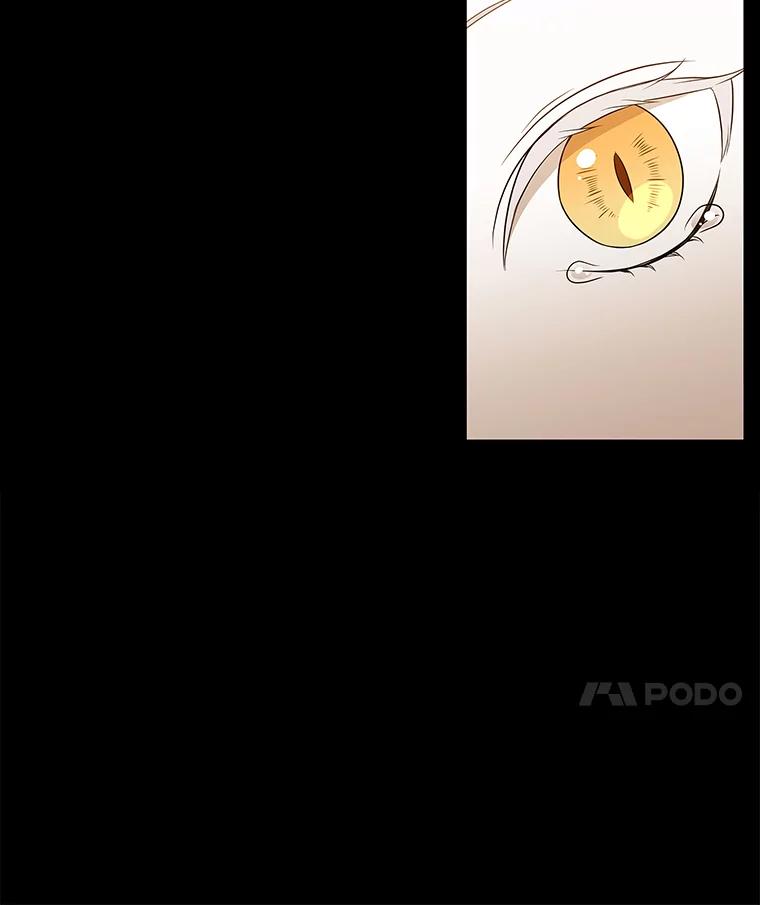 《魅惑狐狸》10.亲如手足 第18页