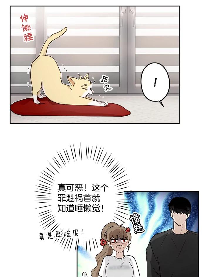 《李世界的平凡生活》7.养“猫” 第54页