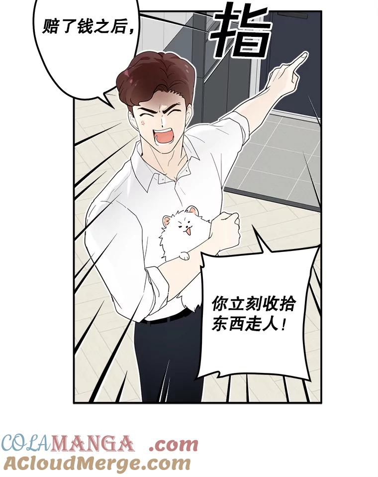《李世界的平凡生活》7.养“猫” 第31页