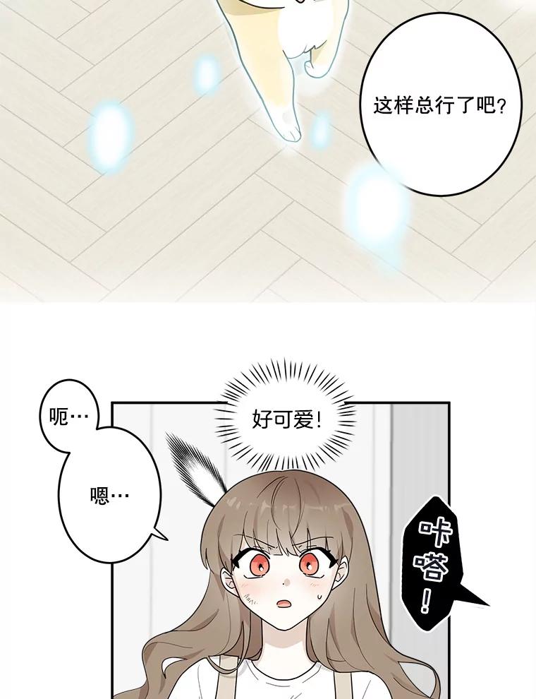 《李世界的平凡生活》7.养“猫” 第6页