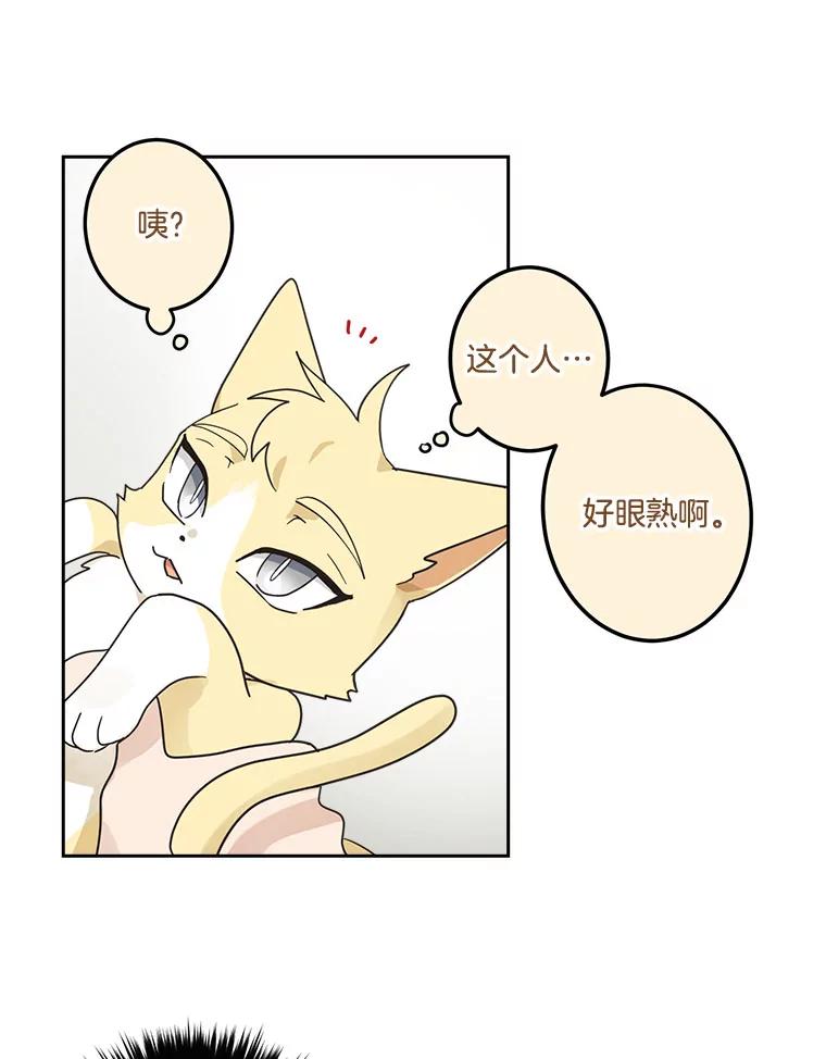 《李世界的平凡生活》7.养“猫” 第66页