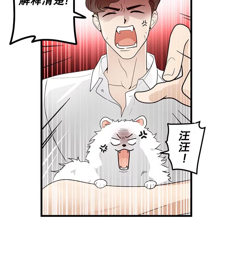 《李世界的平凡生活》7.养“猫” 第15页