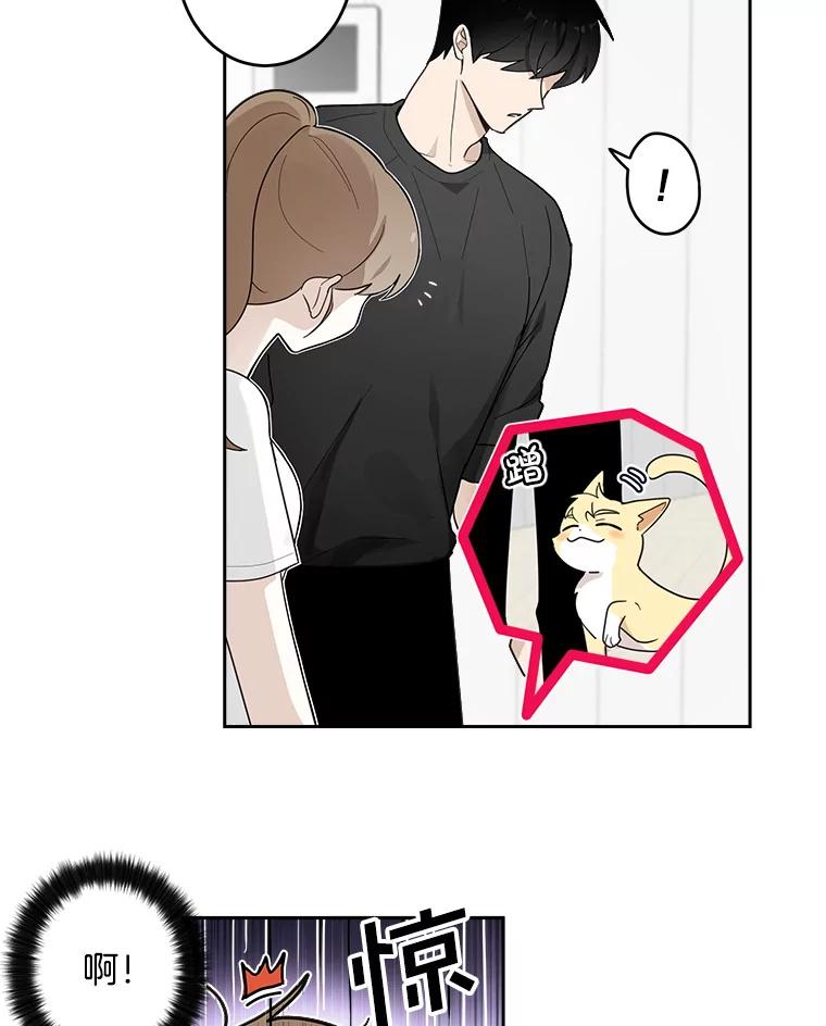 《李世界的平凡生活》7.养“猫” 第57页