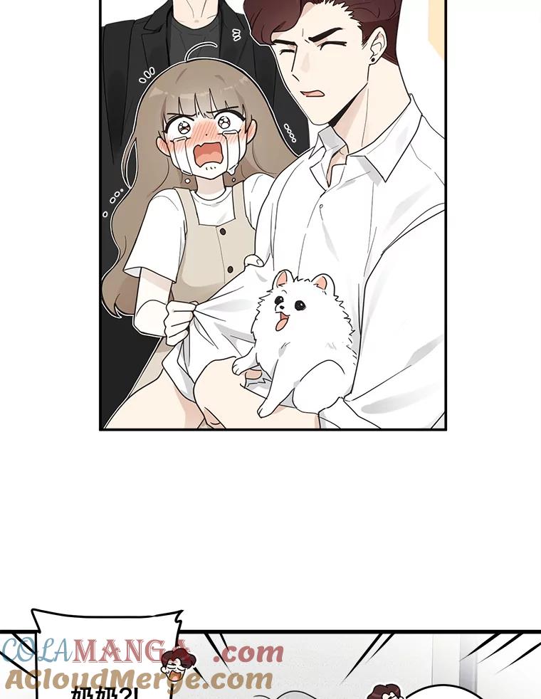 《李世界的平凡生活》7.养“猫” 第34页