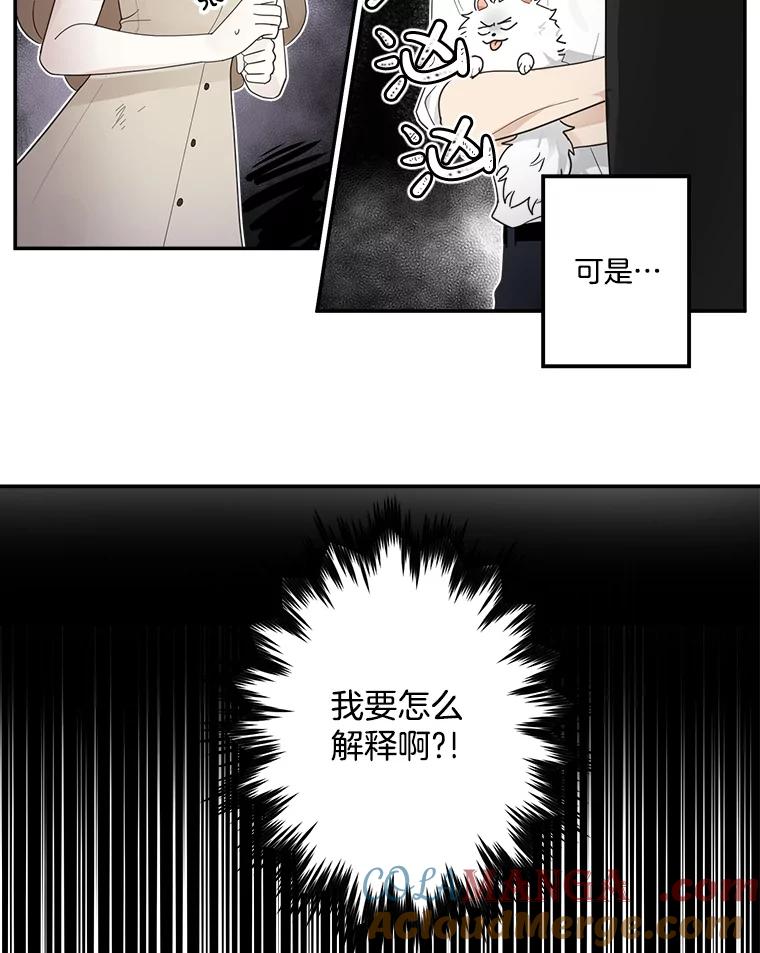 《李世界的平凡生活》7.养“猫” 第19页