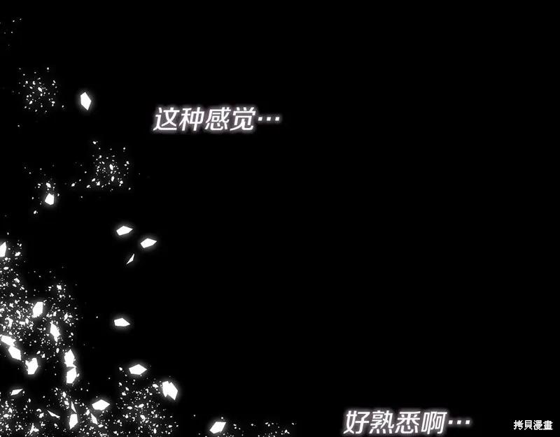 我不再是灰姑娘 第110话 第199页