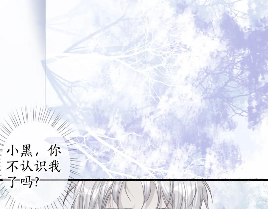 流年盏 第37话 梦蝶成谜思君意 第65页