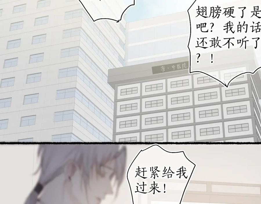 流年盏 番外(二） 第2页