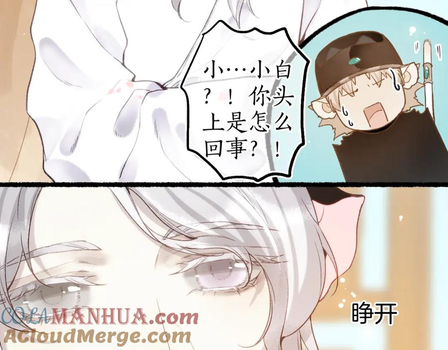 流年盏 番外·小白的苦恼 第31页