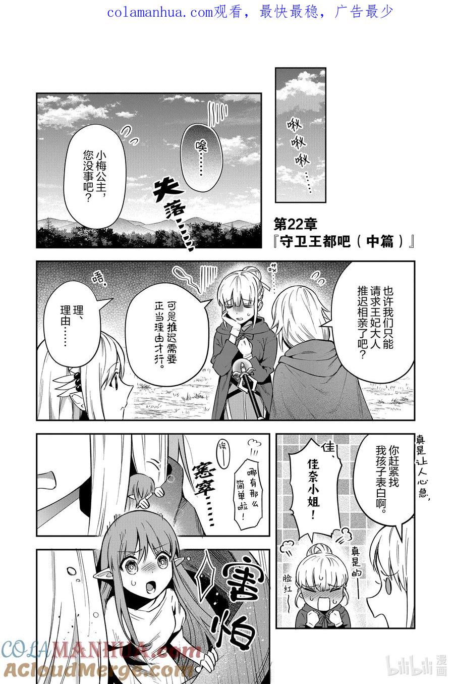 《里亚德录大地》第22章 「守卫王都吧（中篇）」 第1页