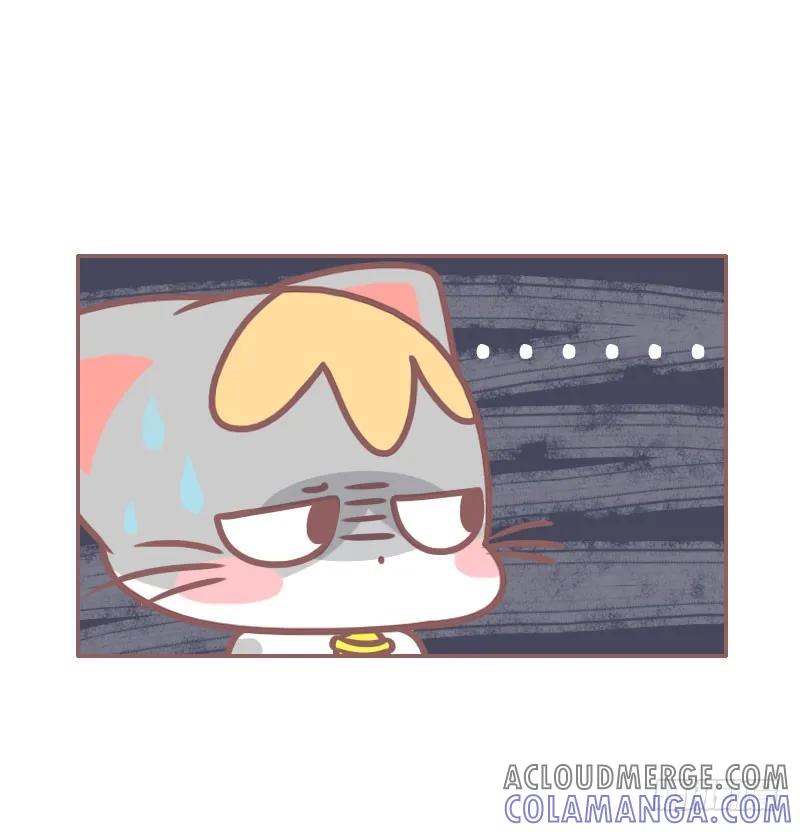 木木子漫画 你见过我这只喵吗？ 第8页