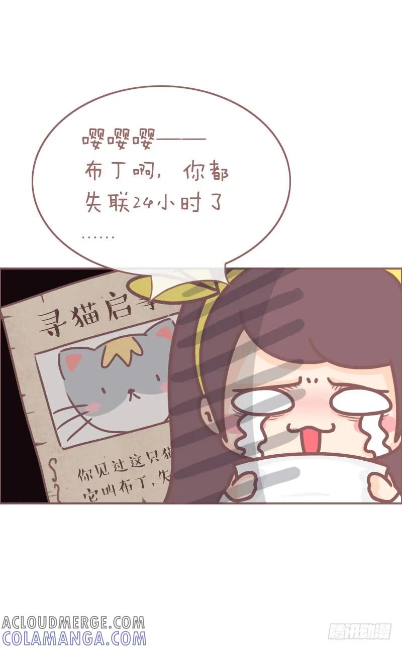 木木子漫画 你见过我这只喵吗？ 第3页