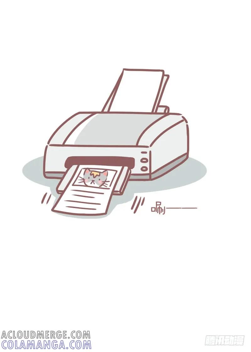 木木子漫画 你见过我这只喵吗？ 第2页