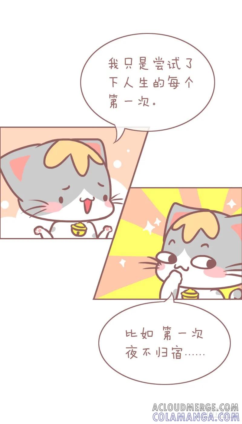 木木子漫画 你见过我这只喵吗？ 第9页