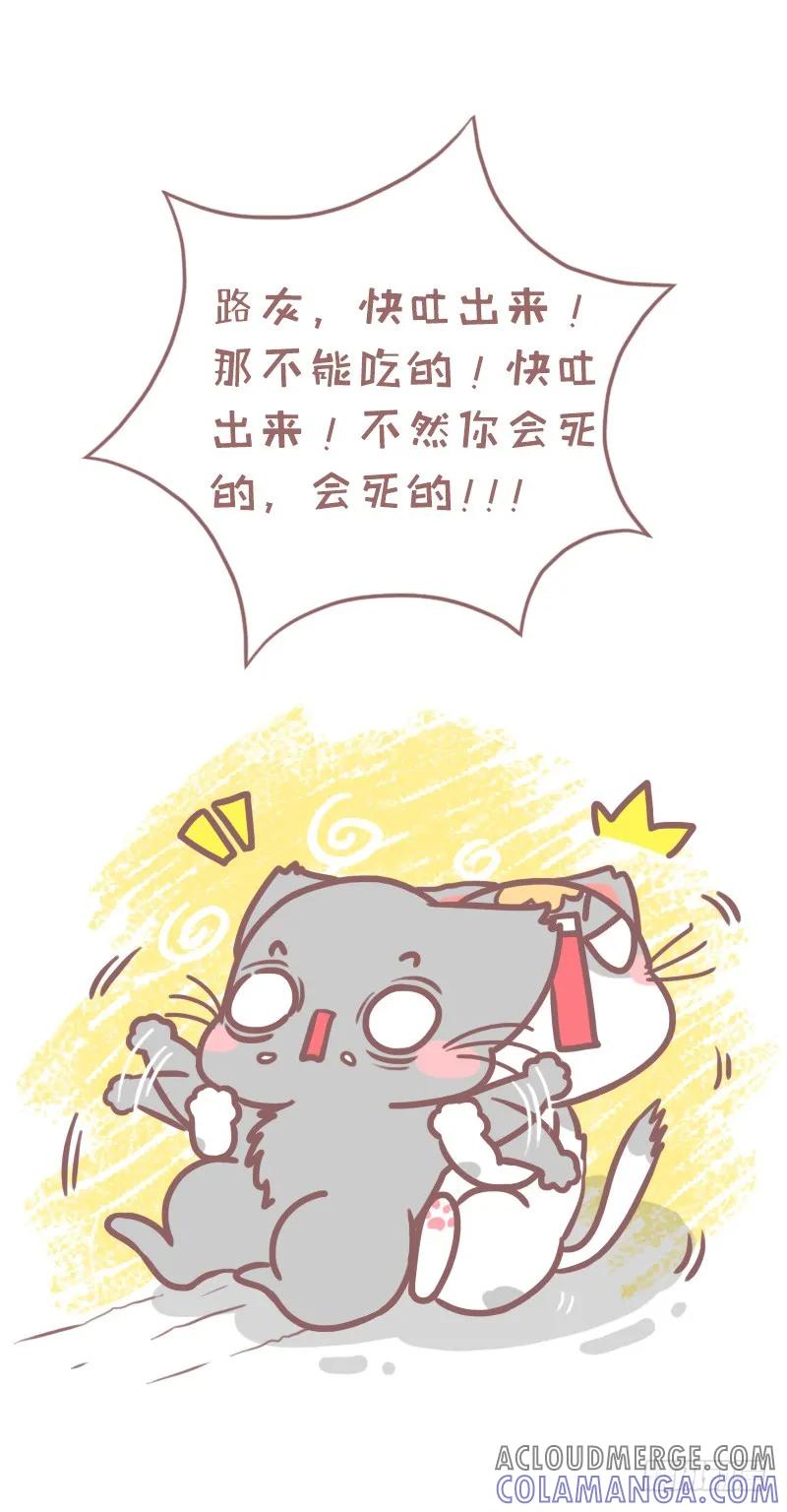 木木子漫画 你的良心不会痛吗？ 第13页
