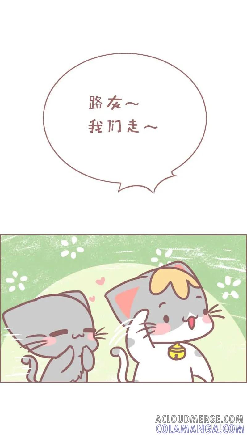 木木子漫画 单身没关系 2 第6页