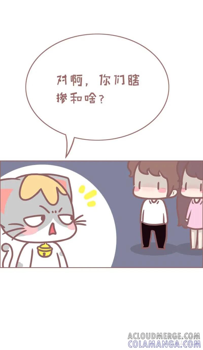 木木子漫画 单身没关系 2 第5页