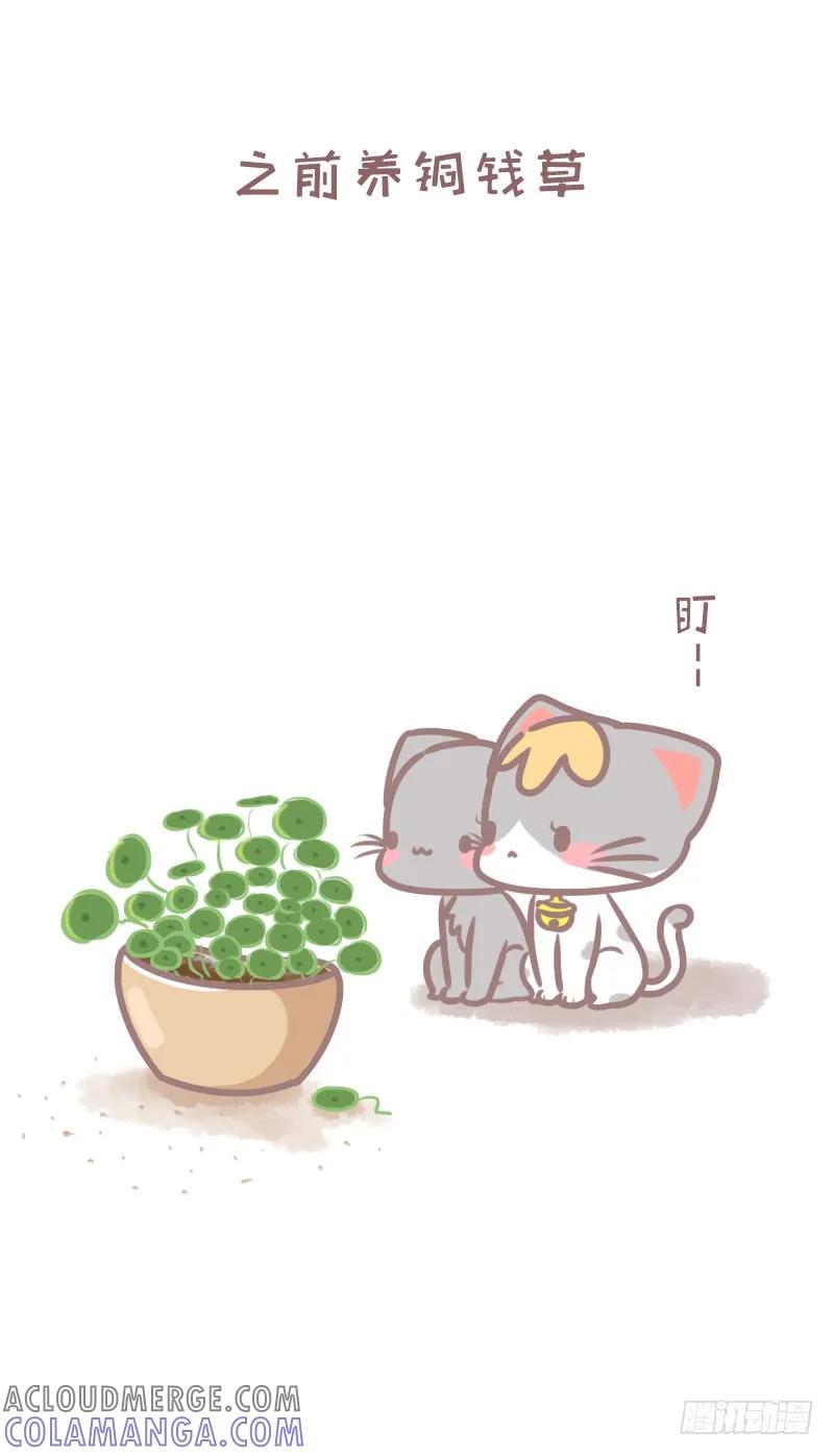 木木子漫画 植物的敌人除了手残党还有喵？1 第2页
