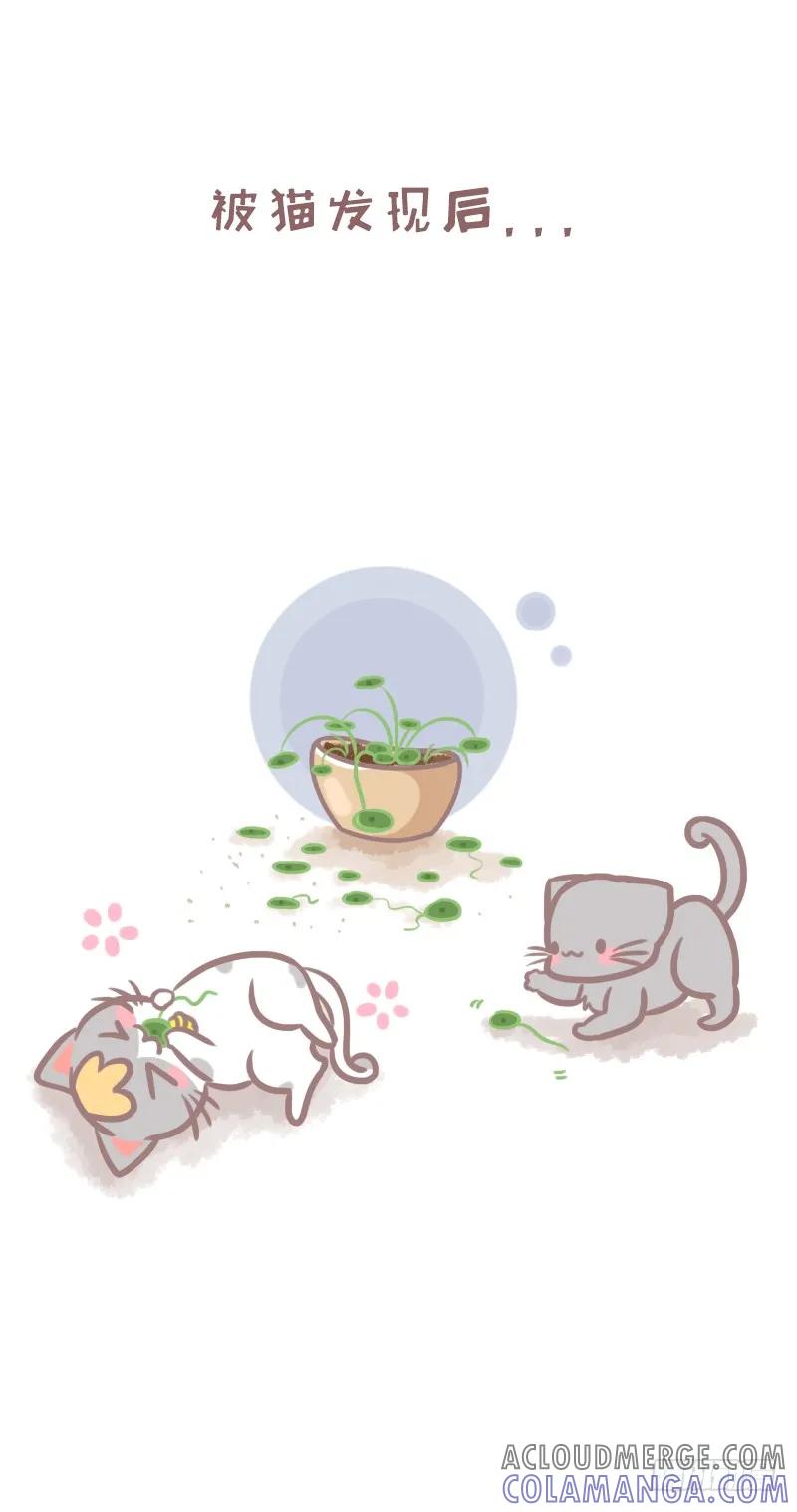木木子漫画 植物的敌人除了手残党还有喵？1 第3页