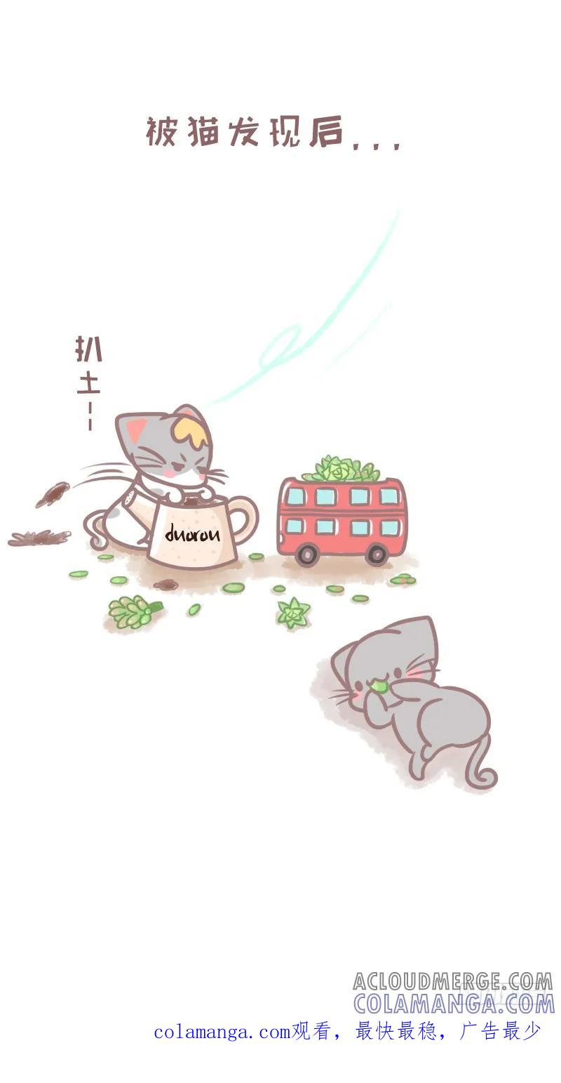木木子漫画 植物的敌人除了手残党还有喵？1 第7页