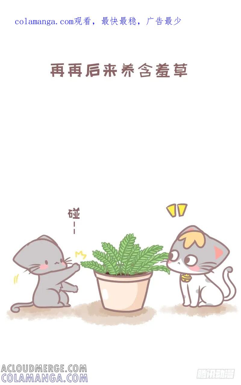 木木子漫画 植物的敌人除了手残党还有喵？2 第1页