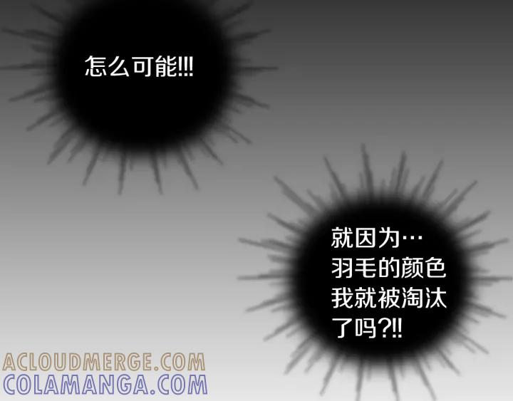 《燕子传》第48话 神圣的存在 第33页