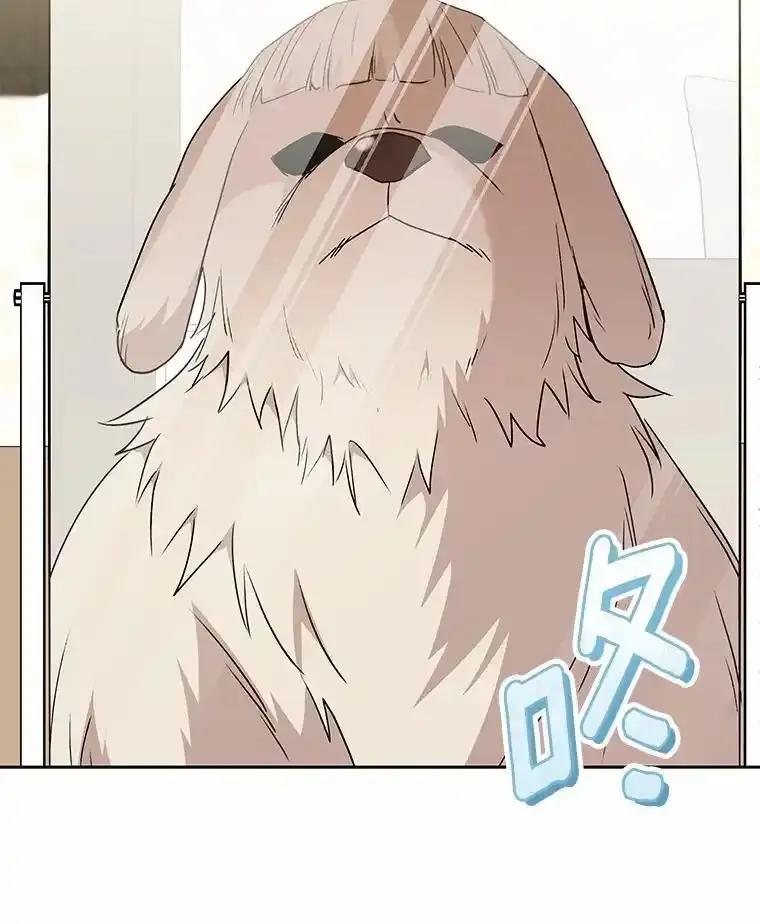 《你好？兽医先生！》60.我的哥哥（1） 第16页
