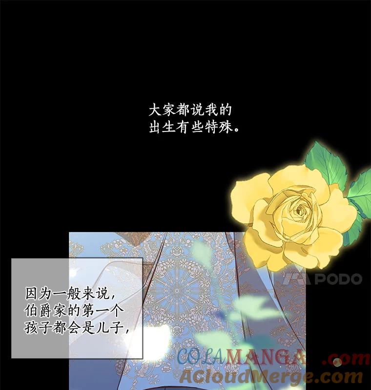 《龙套大公子妃的花路人生》1.受到诅咒的孩子 第29页