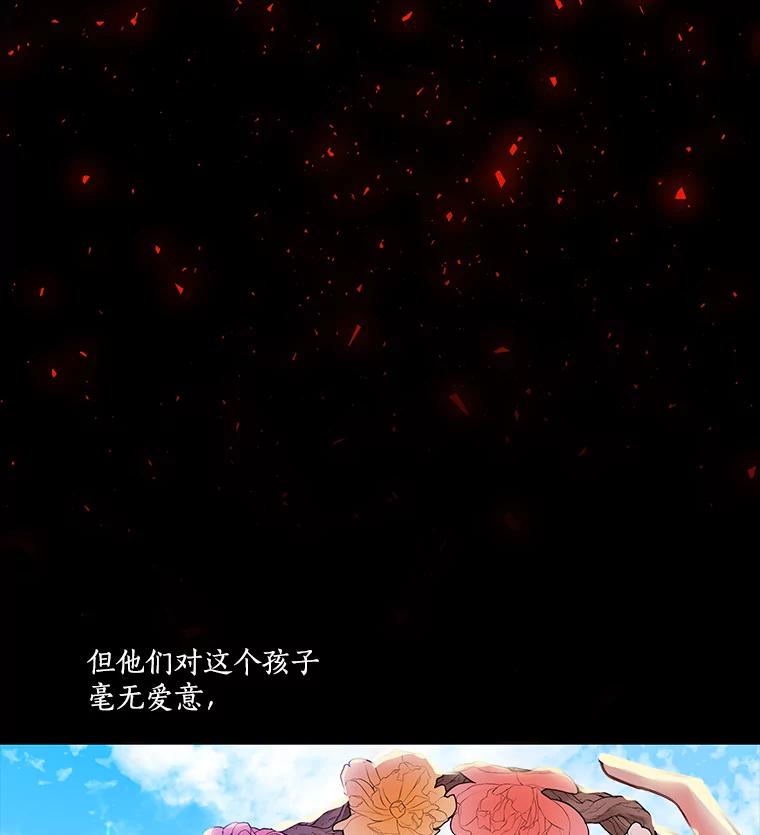 《龙套大公子妃的花路人生》1.受到诅咒的孩子 第24页