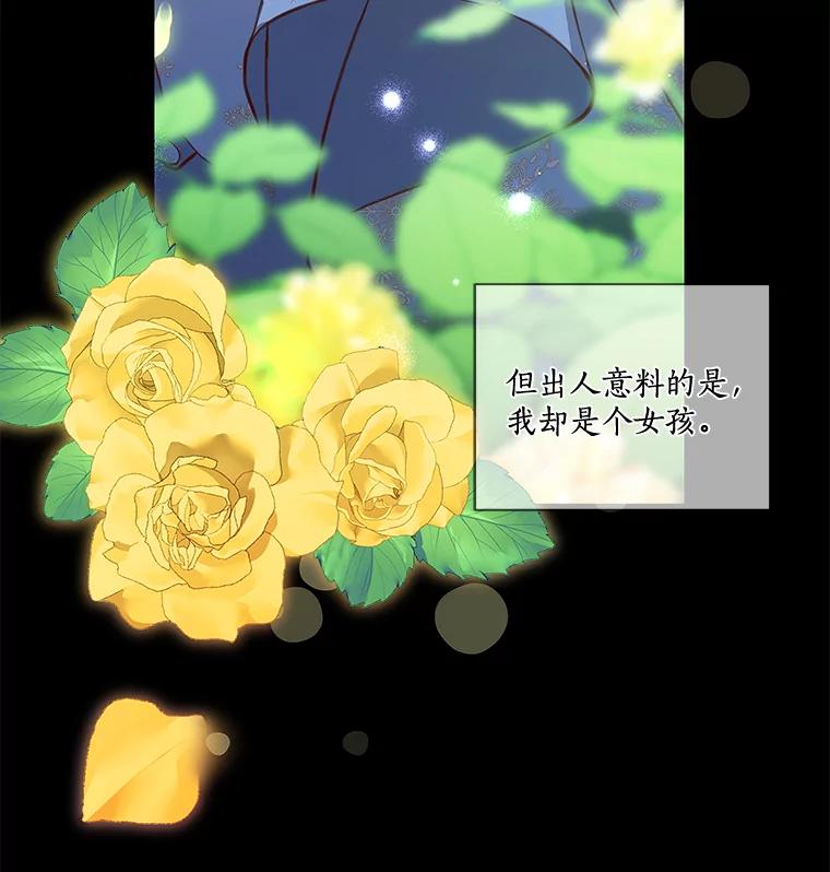 《龙套大公子妃的花路人生》1.受到诅咒的孩子 第30页