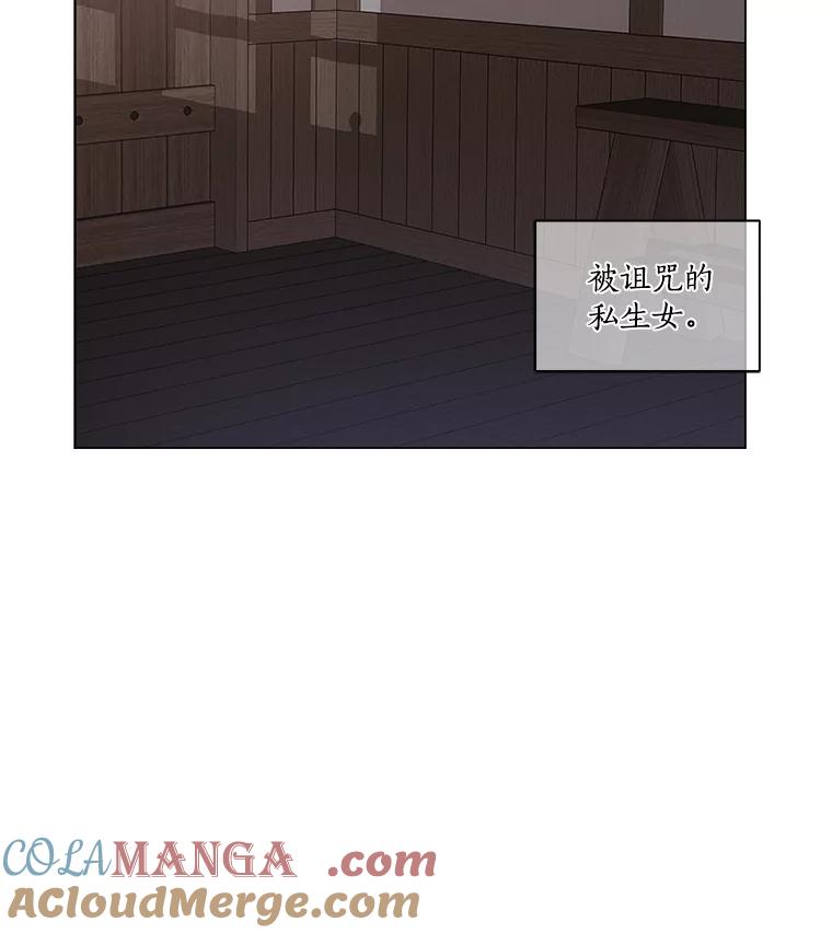 《龙套大公子妃的花路人生》1.受到诅咒的孩子 第5页
