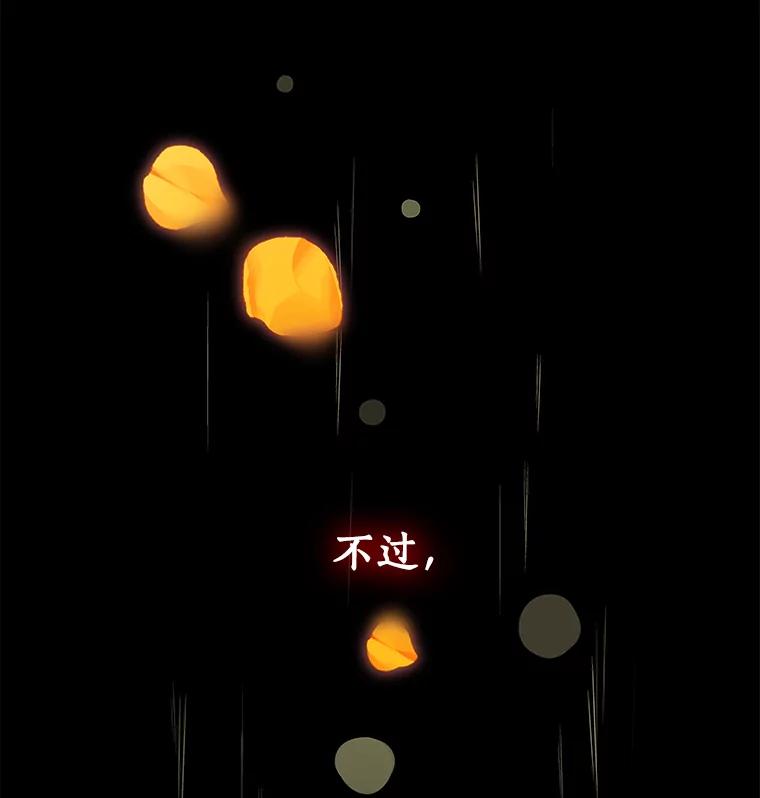 《龙套大公子妃的花路人生》1.受到诅咒的孩子 第31页