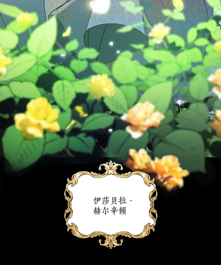《龙套大公子妃的花路人生》1.受到诅咒的孩子 第28页