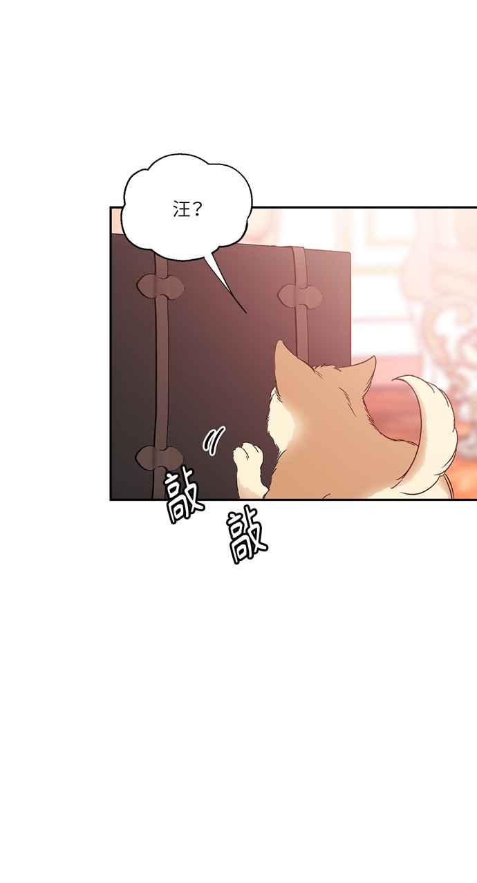《外科医生爱丽丝》第131话 第11页